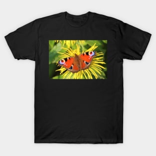 Peacock butterfly T-Shirt